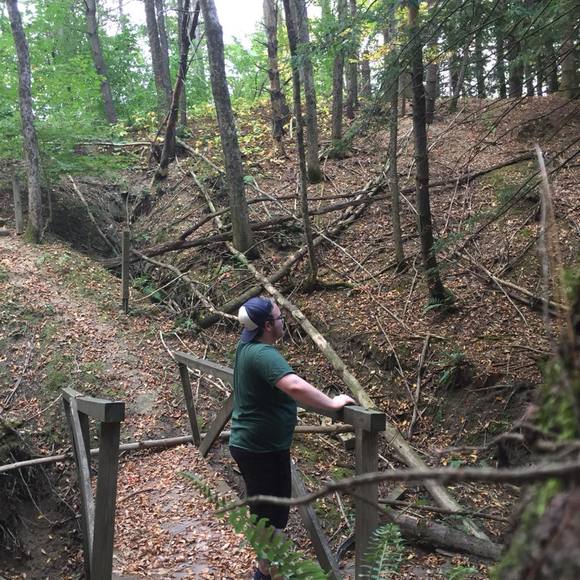 Meet your Posher, Andrew - Picture 1 of 1